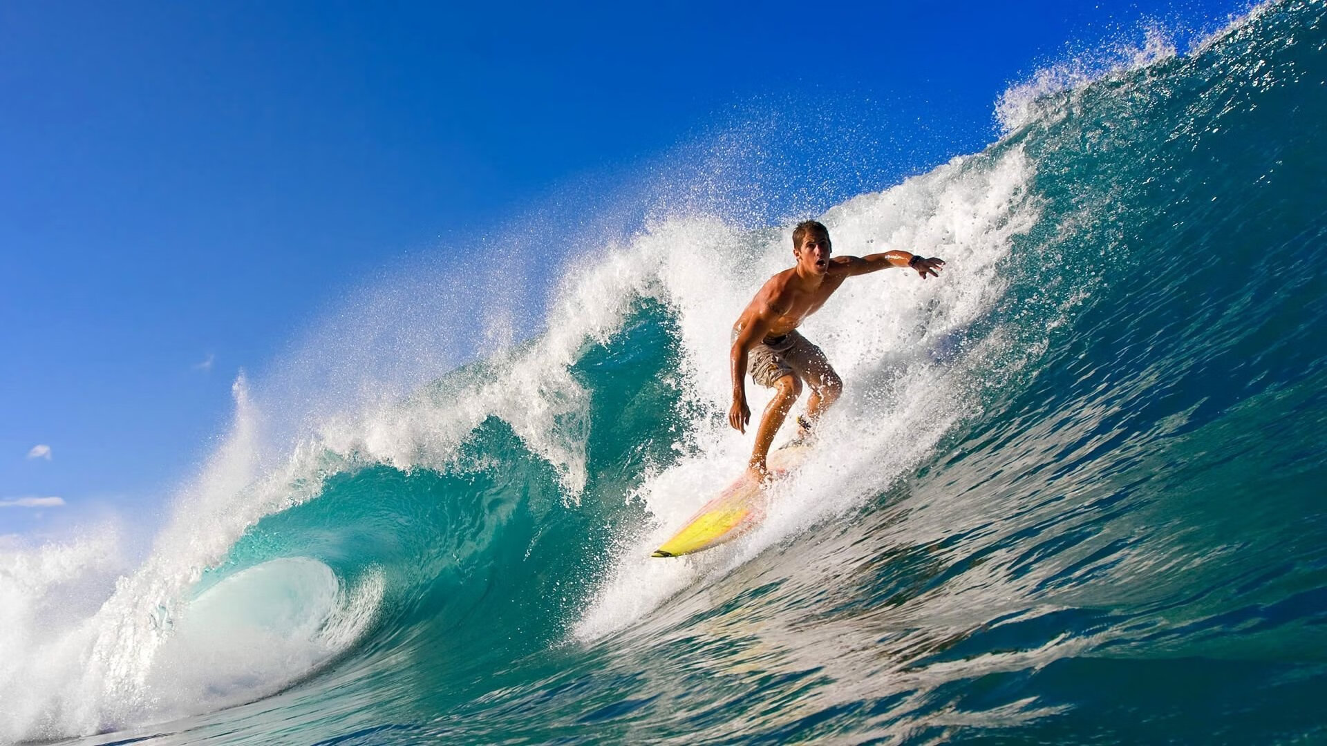 非洲杯生死时刻,拉亚关键节点连续得分,喀麦隆单节拉开阿尔及利亚奠定胜局