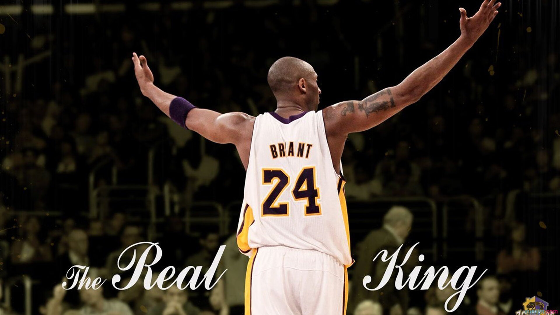 奥亚尔萨瓦尔,总决赛之夜,以实力为名的独白